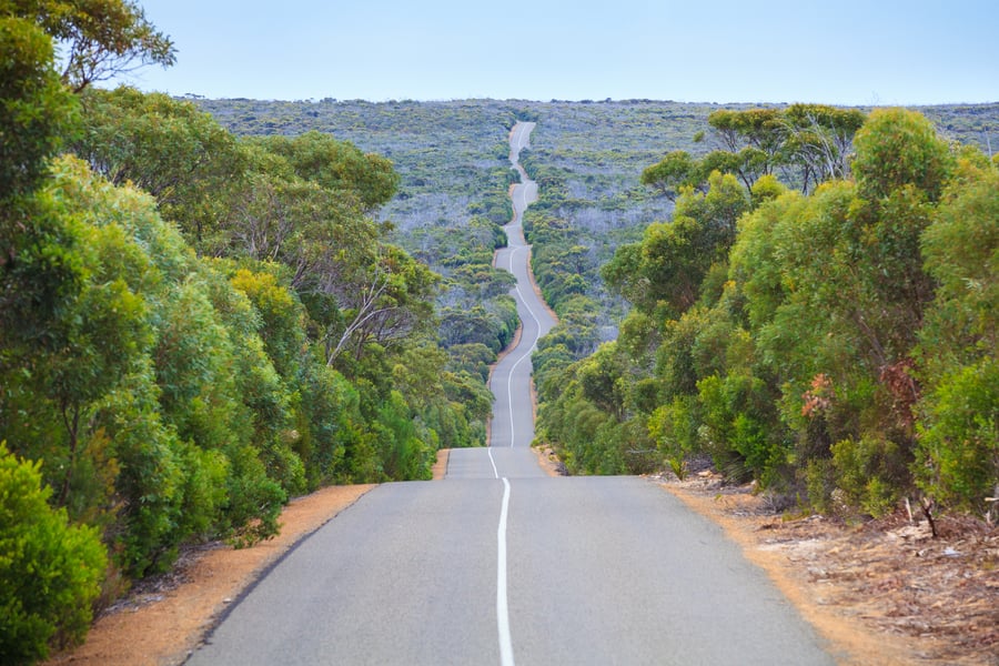 Vej gennem nationalpark i Australien