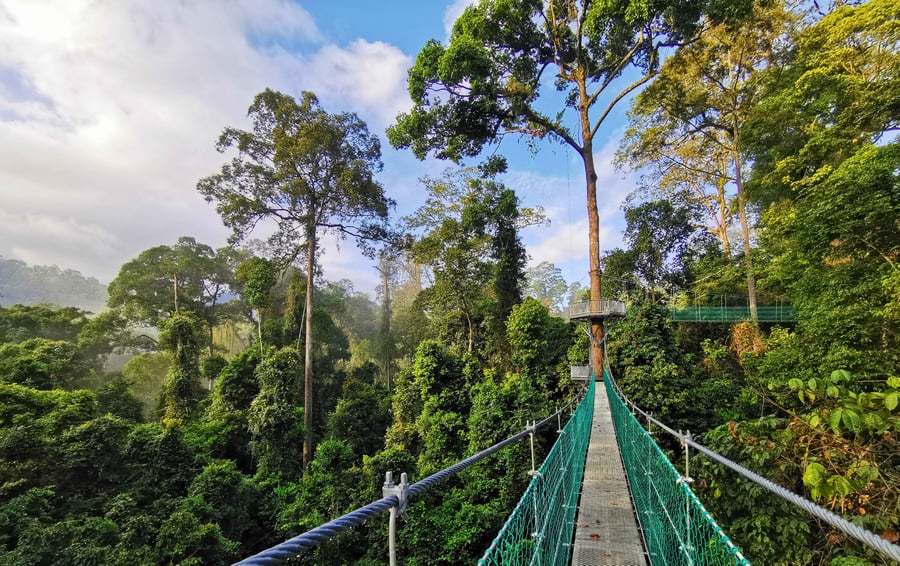 Borneo Rainforest Lodge