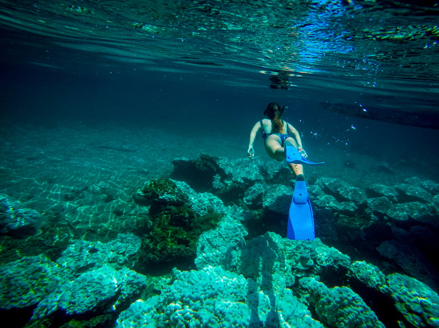 Diving in Costa Rica
