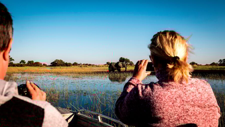 Bådtur i Okavango delta i Botswana