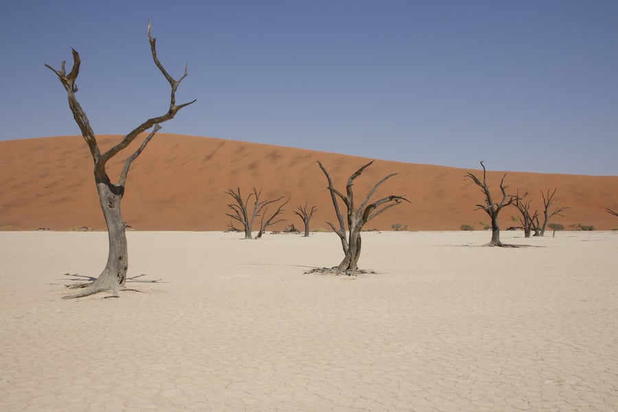Desert of Namibia