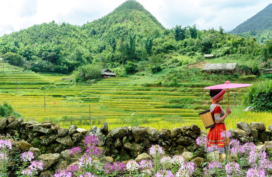 Explore Vietnam's stunning nature. 