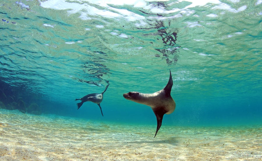 Of of the most epic wild life destinations. 