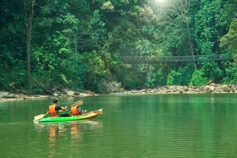 Rompin Rainforest Lodge