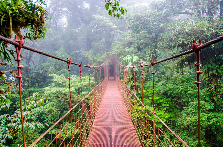 Monteverde i Santa Elena, Costa Rica