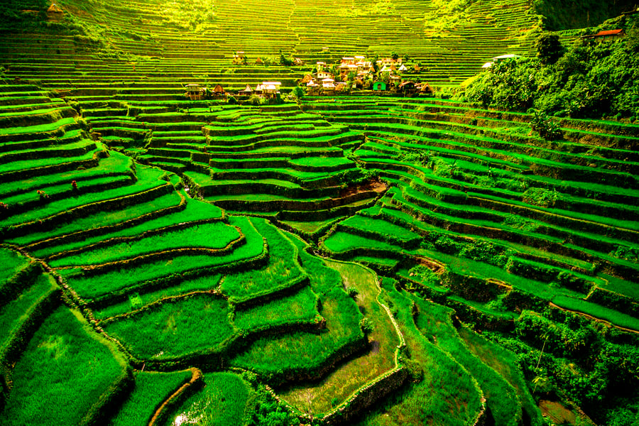 Risterrasser i Banaue