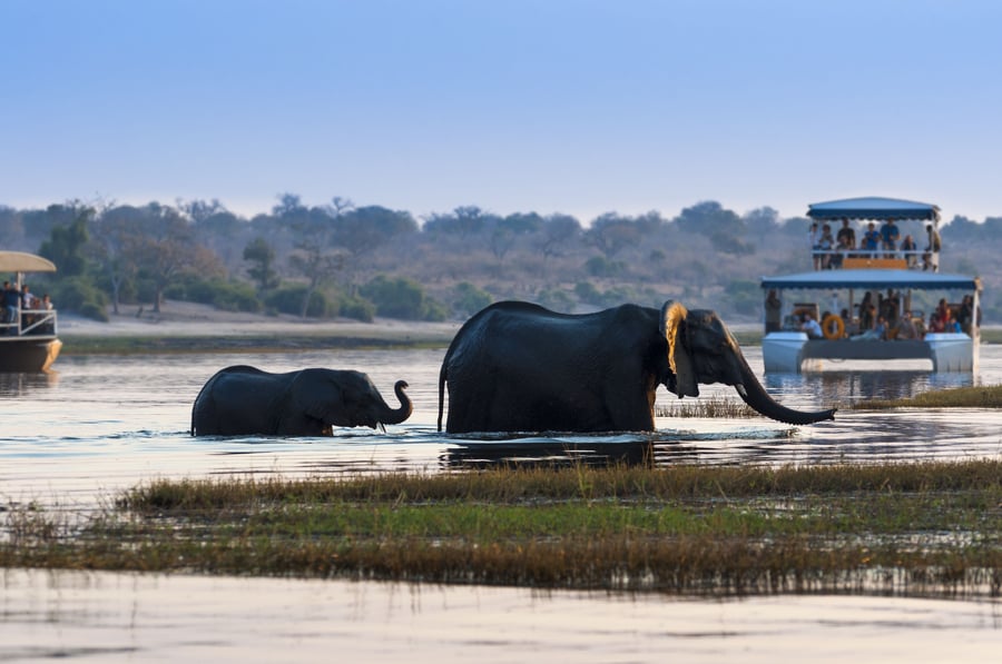 Chobe National Park, Botswana