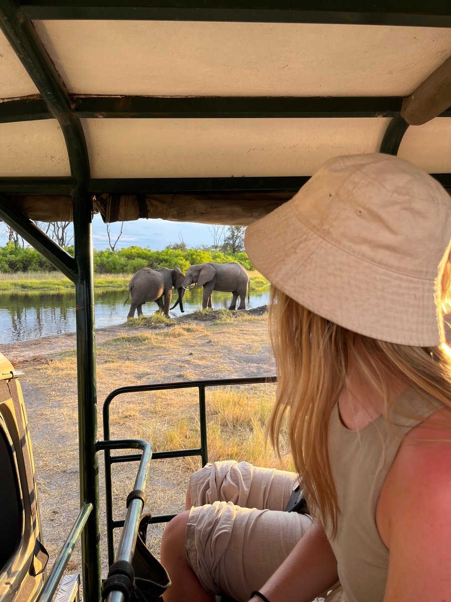Åk på safari med KILROY.
