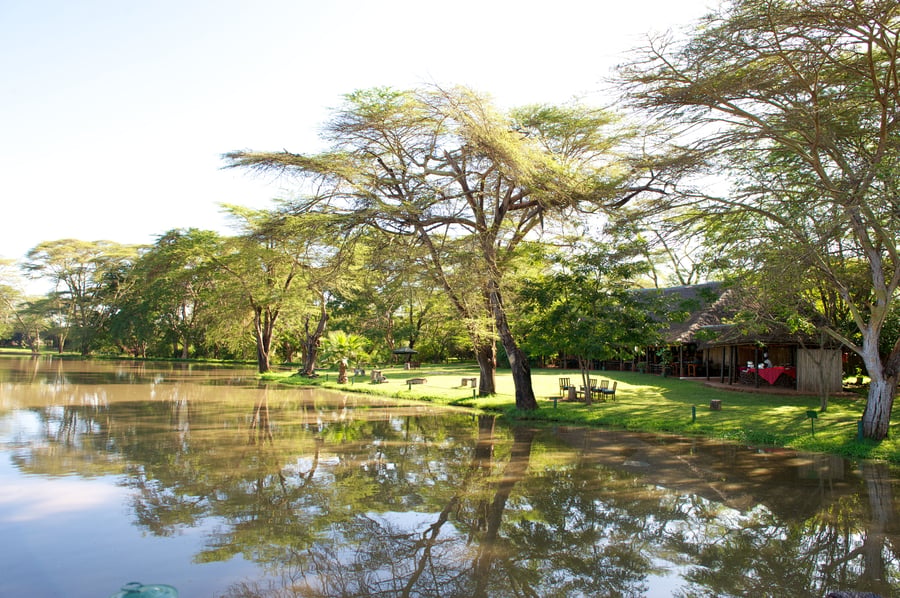 Voyager Ziwani Camp