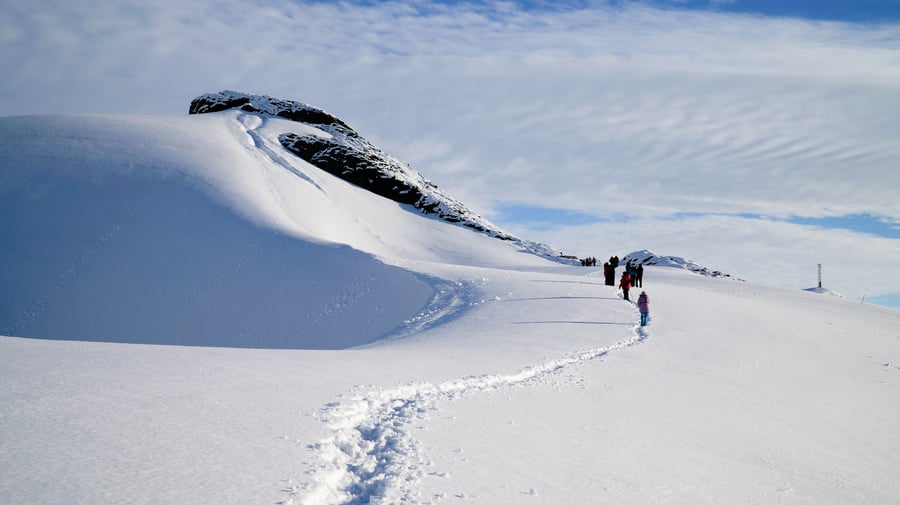 People walking in the snow in Antarctica