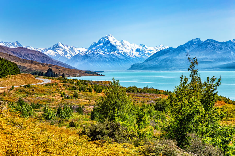 Tag på smukke vandreture i naturen i New Zealand