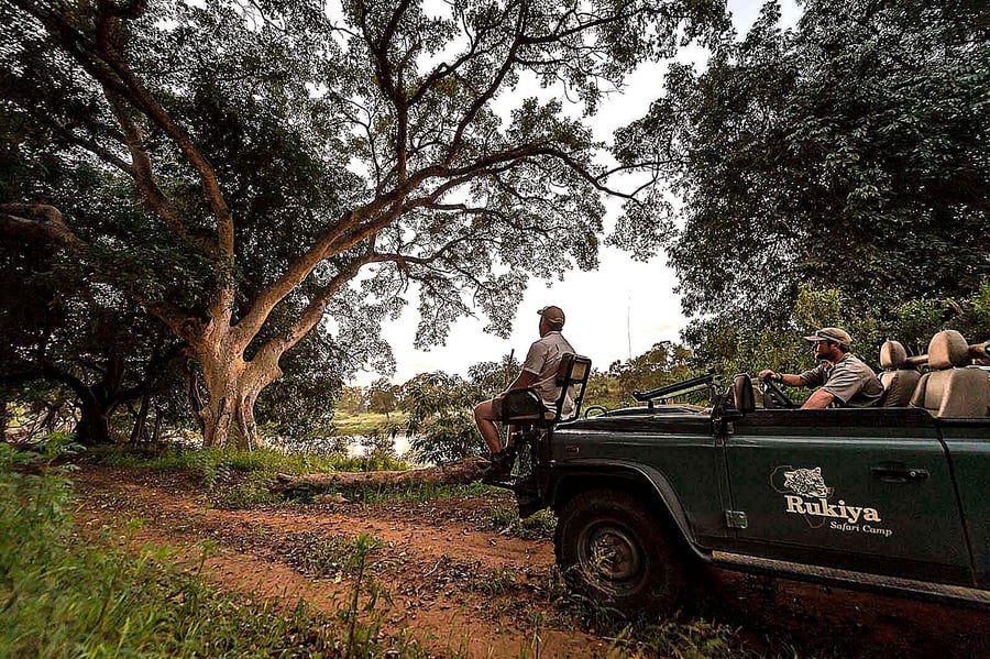 Rukiya Safari Camp