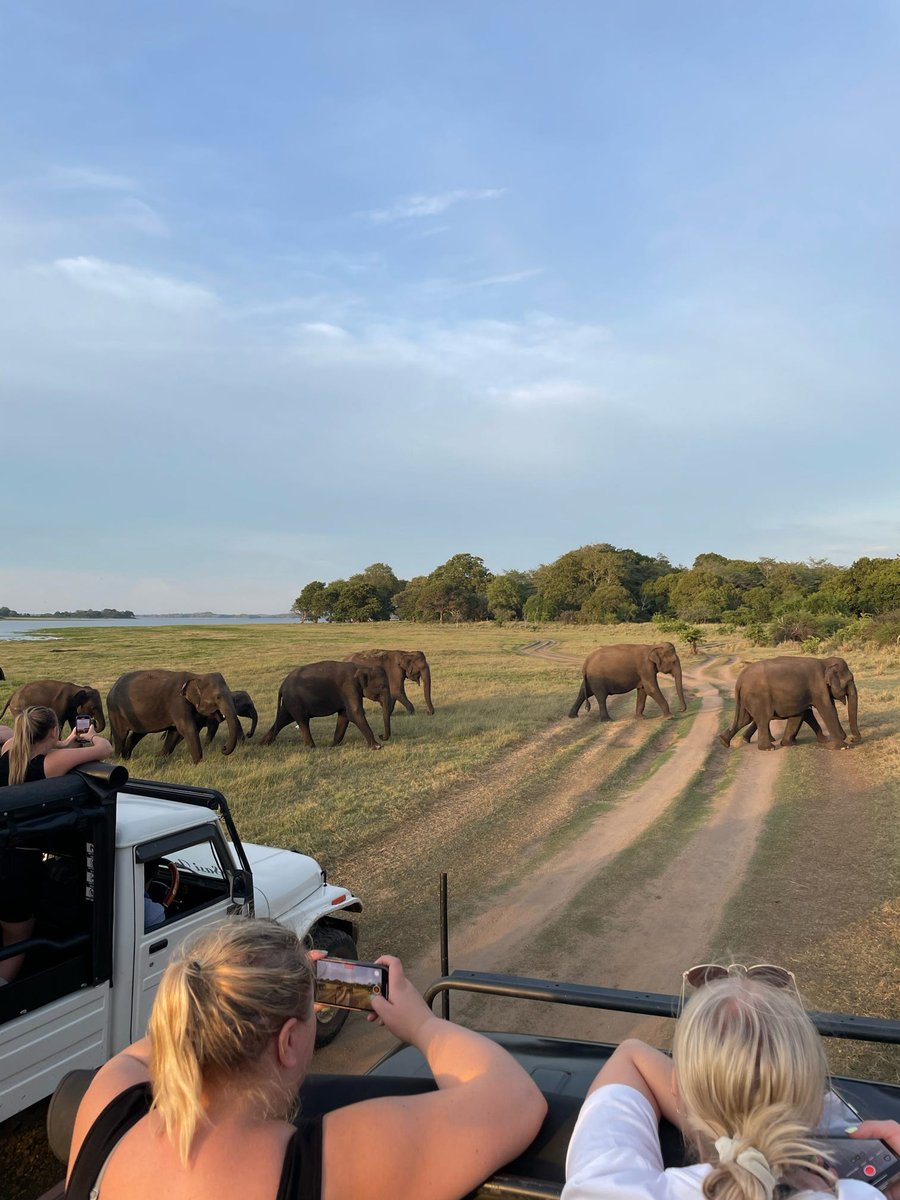 Safari Tanzania.