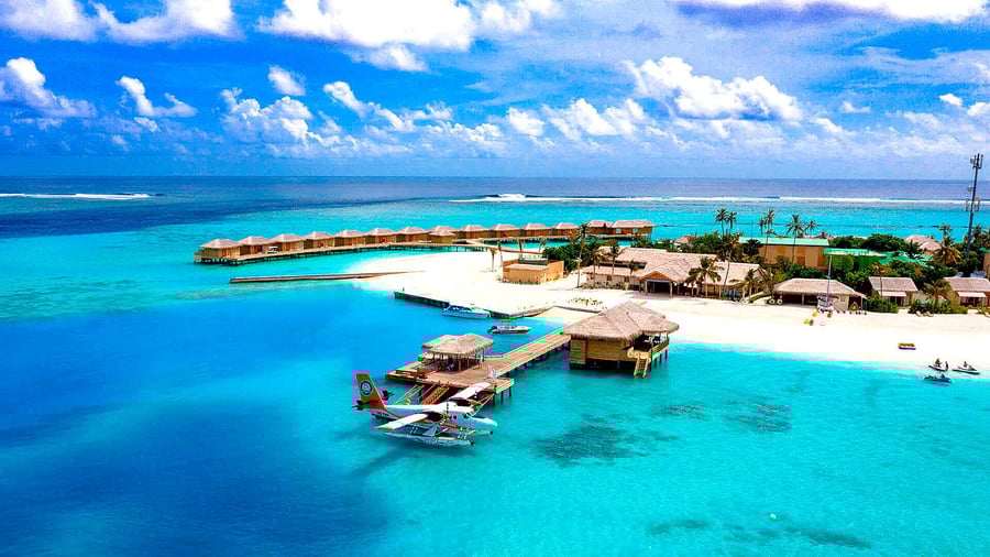 You & Me by Cocoon | Adult Only