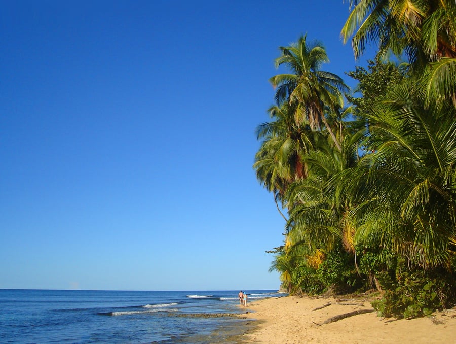 Tropisk strand i Costa Rica