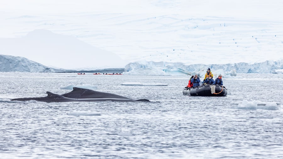 Fournier Bay i Antarktis