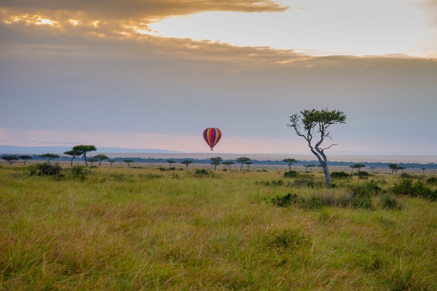 Masai Mara National park