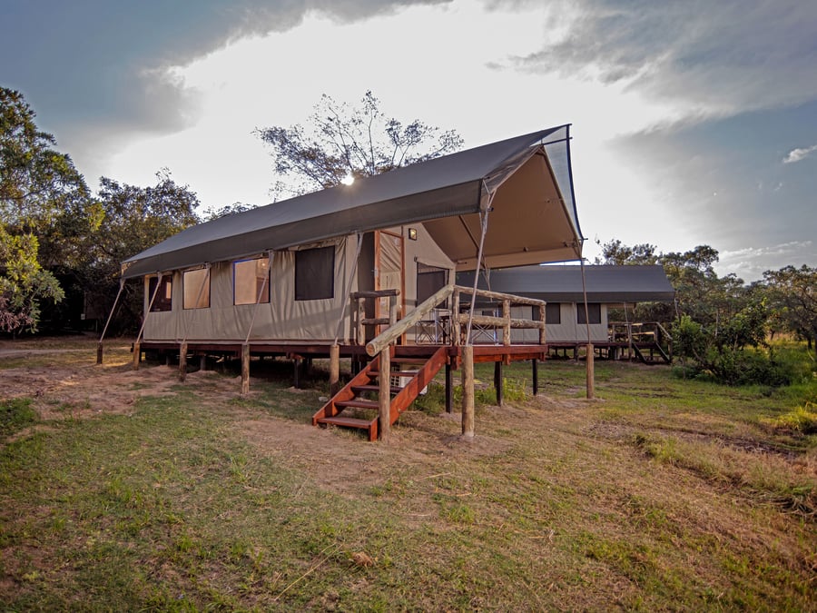 Standard safaritelt på Nkambeni Safari Camp
