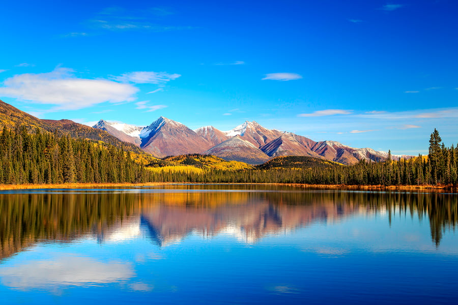 Wilderness in Alaska