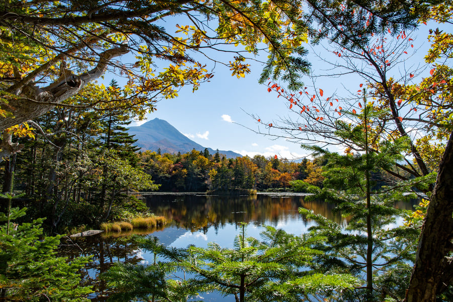 Hoikkaido