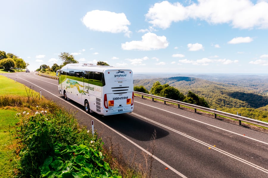 Greyhound, Australia