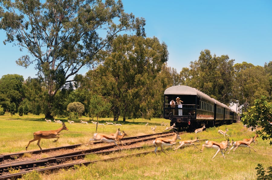 Rovos rail