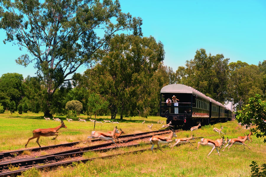 Rovos rail