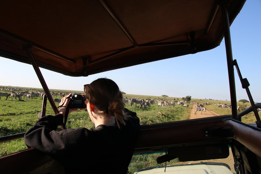 Wildlife spotting in Africa
