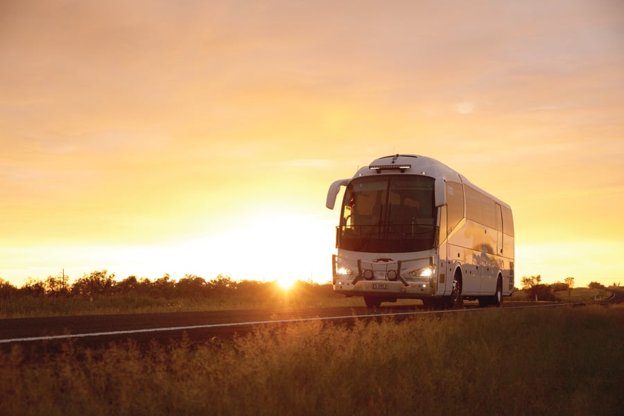 Greyhound Australia